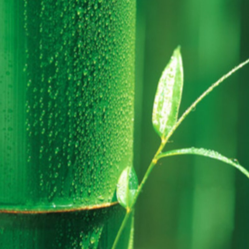 Custom Organic Cotton Rolls Breathable Water Resistant Ripstop Plain Bamboo Fiber Spunlace Nonwoven Fabric