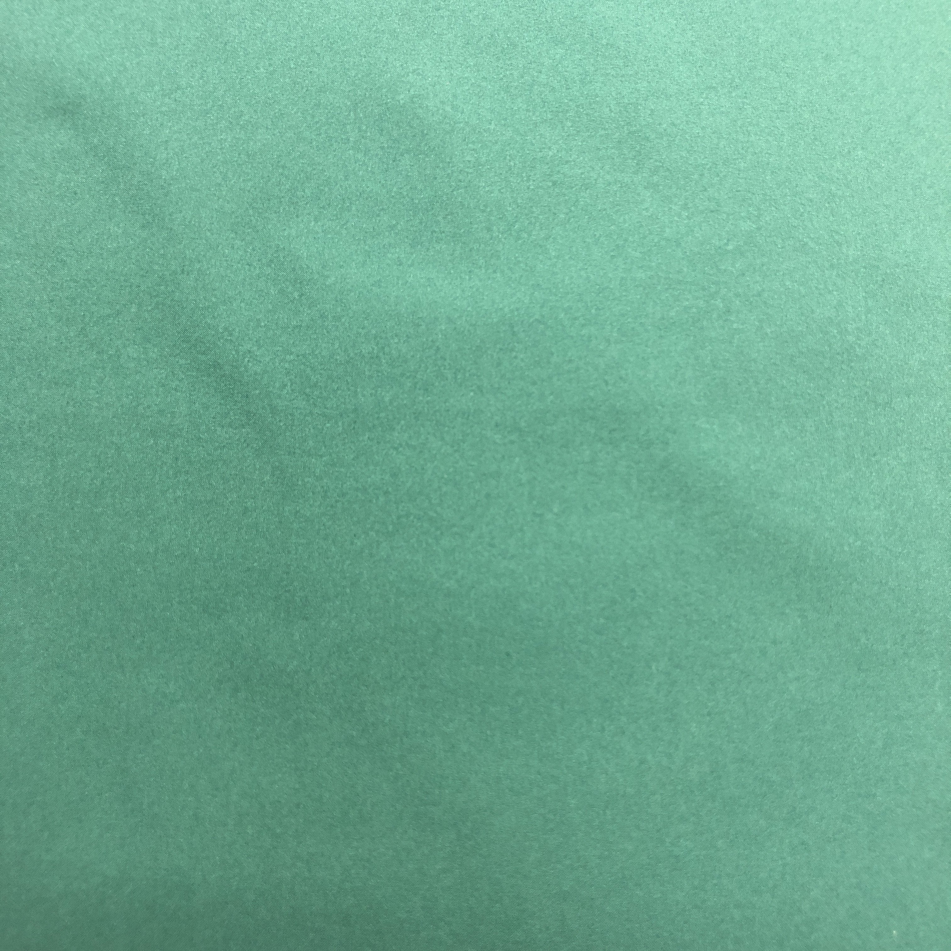 100% polyester 50D plain weave T800 fabric