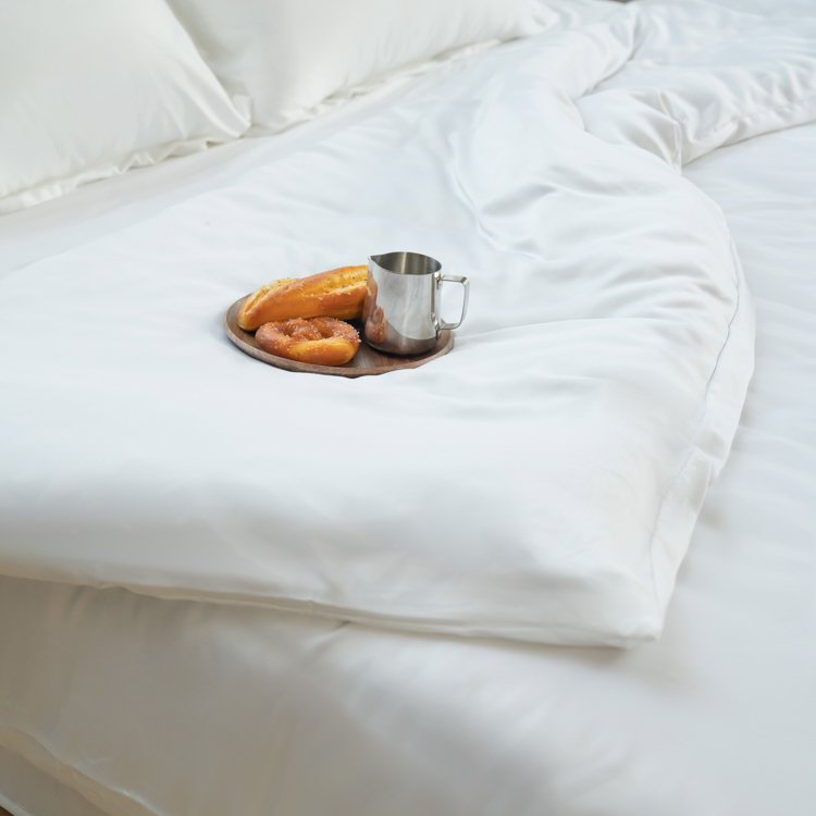 Ultra-smooth material bamboo viscose bedding set natrual bamboo duvet cover set with pillowcase