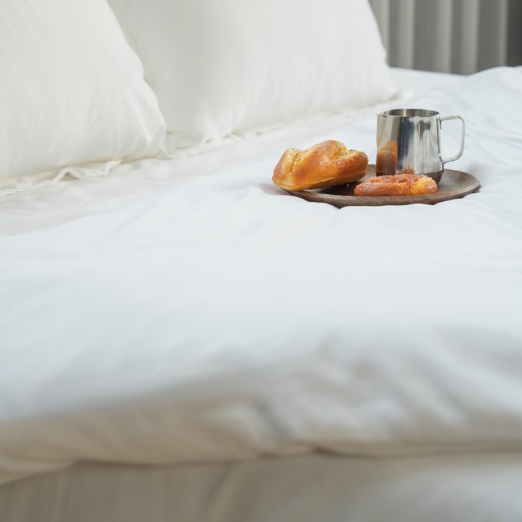 Ultra-smooth material bamboo viscose bedding set natrual bamboo duvet cover set with pillowcase