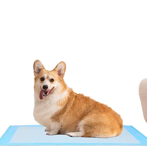 Drezen brand high quality dog training pads the most abundant material 1.8kg pack of thickened type cotton