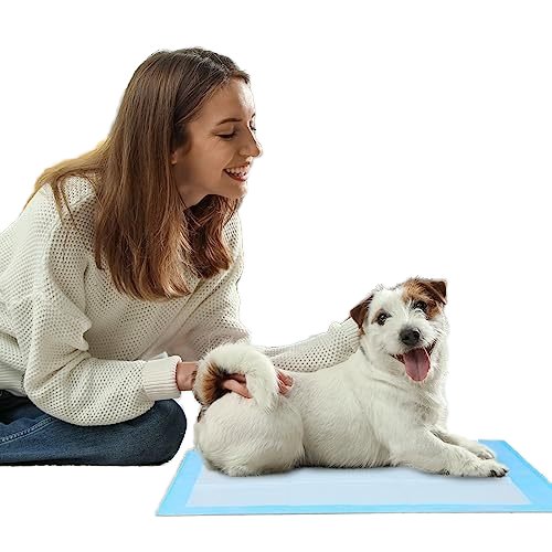 Drezen brand high quality dog training pads the most abundant material 1.8kg pack of thickened type cotton