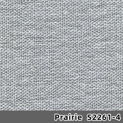 S2261-4