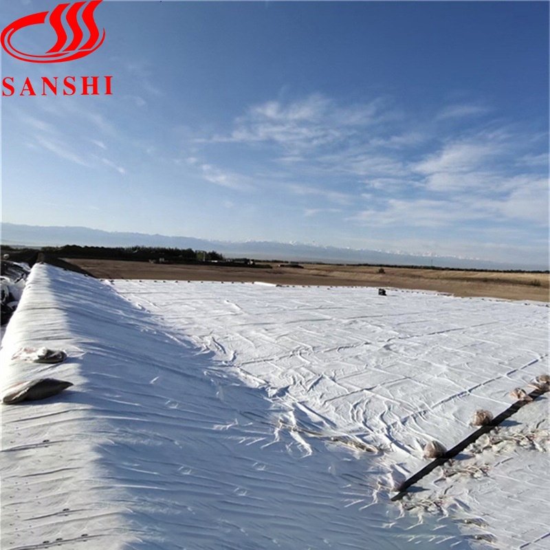 Knitted Polyester Geogrid Composite Nonwoven For Road Paving Material filament/short fiber needle geotextiles fabric