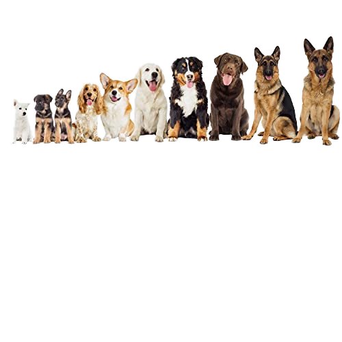 Drezen brand high quality dog training pads, the most abundant material 1.8kg pack of thickened type.