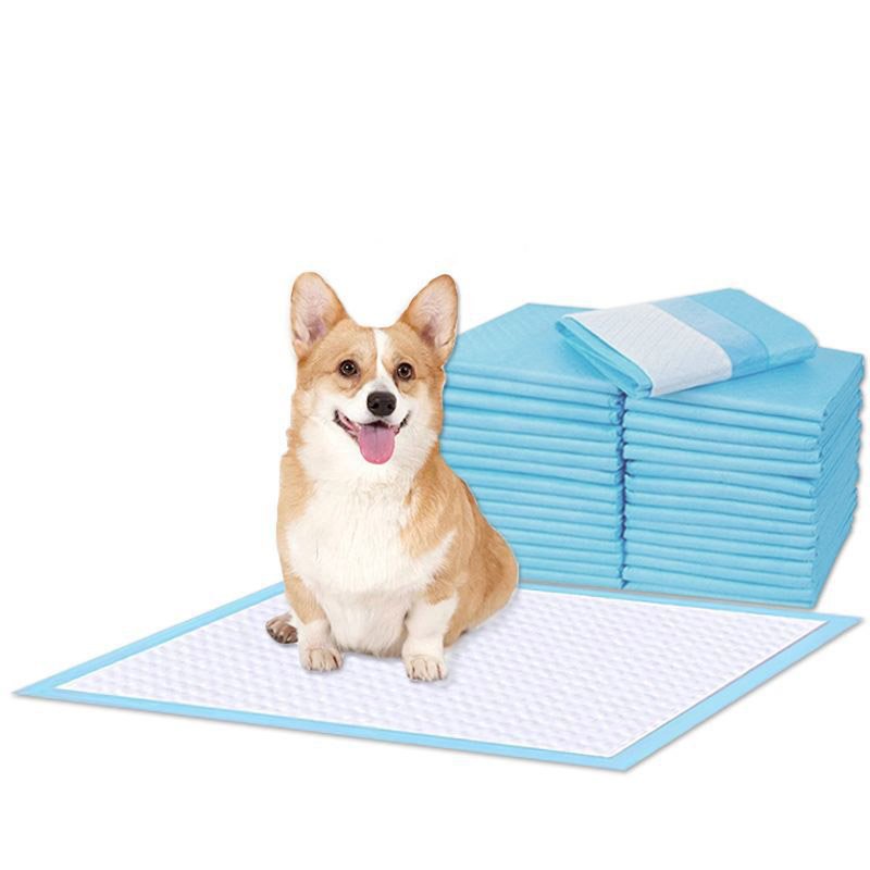 Hot Sales 22"x22" "28x30" absorb pad for pet puppy training pads supplier dog puppy pads