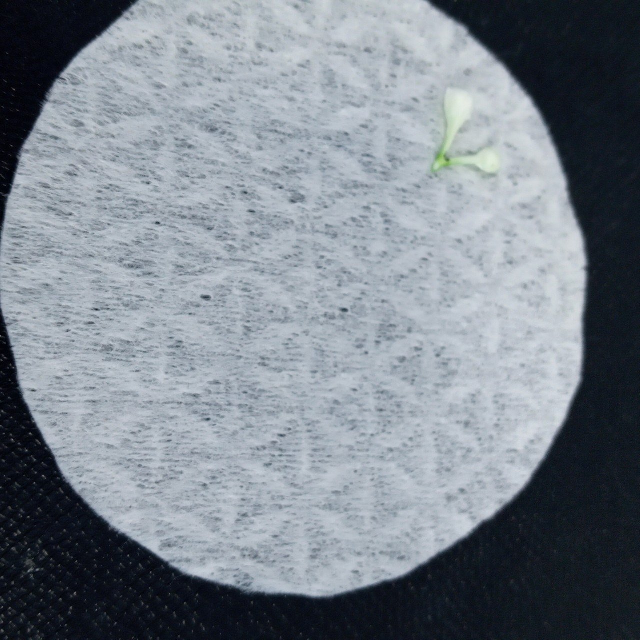 Made In Vietnam White Spunlace Nonwoven Parallel Petal Fabric Factory Export Directly FOB price, CIF price