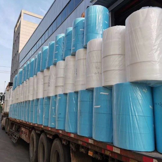 WELLDONE Biodegradable PLA Spunlace Nonwoven Fabric Eco-Friendly Bamboo Spunlace Non-Woven For Multipurpose
