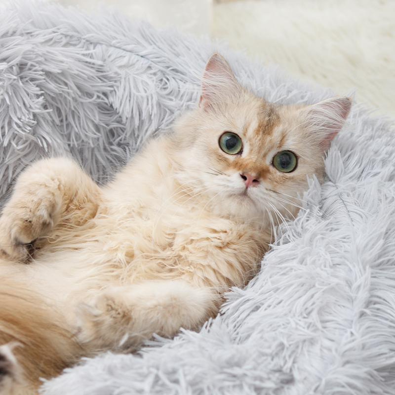 Hot Selling Product Pet Supplies New Type Lovely Calming Cozy Semi-Closed Soft Cat Bed For Cats And Dogs