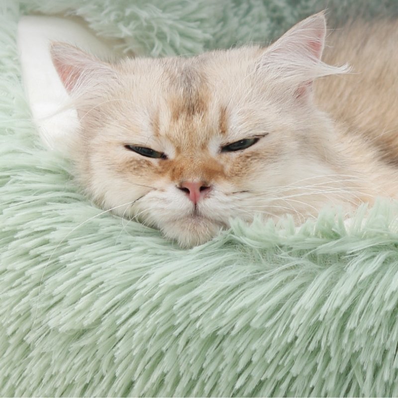 Hot Selling Product Pet Supplies New Type Lovely Calming Cozy Semi-Closed Soft Cat Bed For Cats And Dogs