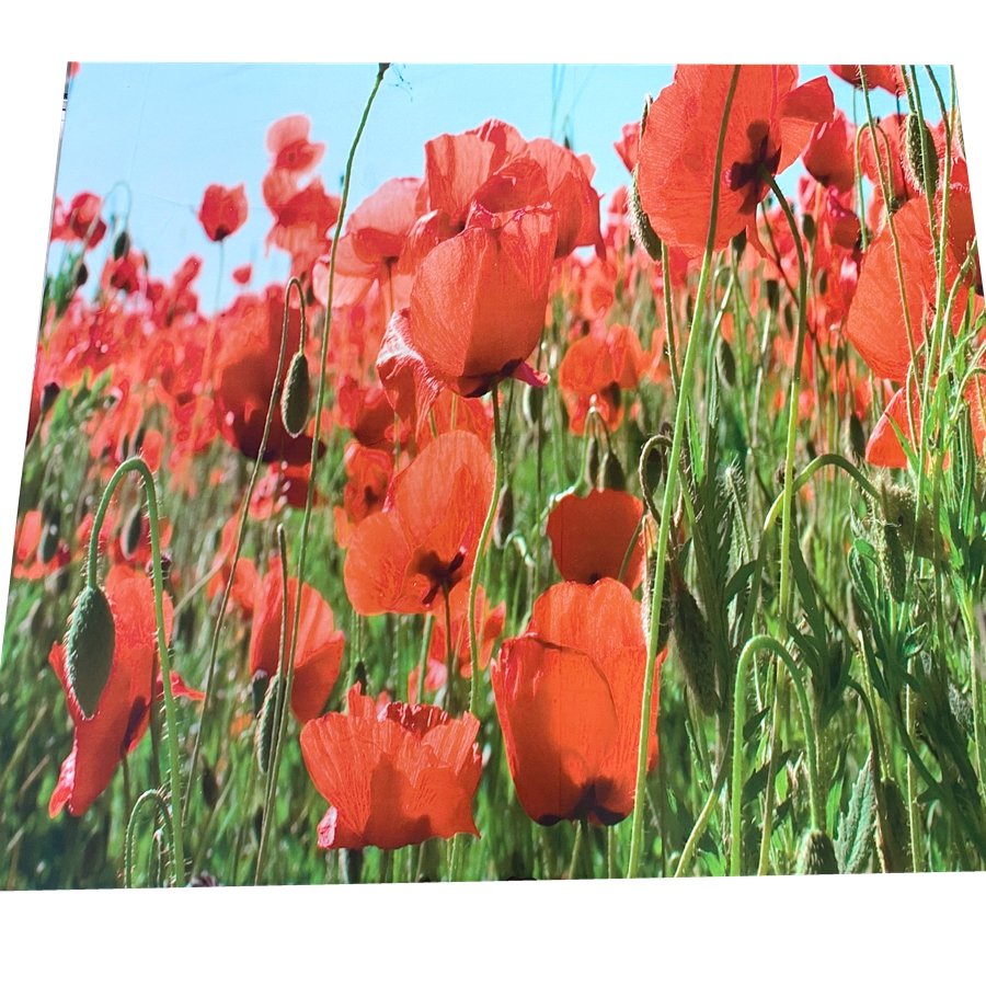 100% polyester fabric 3D printed disperse printed microfiber bed sheet fabric double brushed hometextile fabric