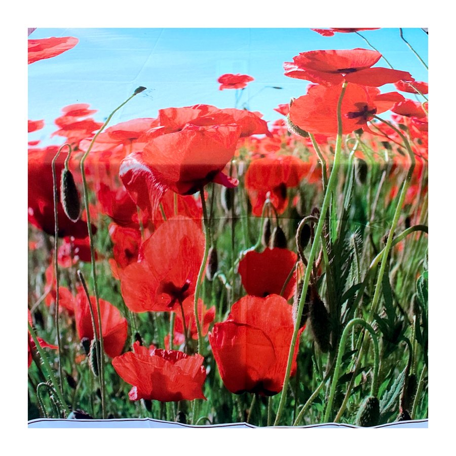 100% polyester fabric 3D printed disperse printed microfiber bed sheet fabric double brushed hometextile fabric