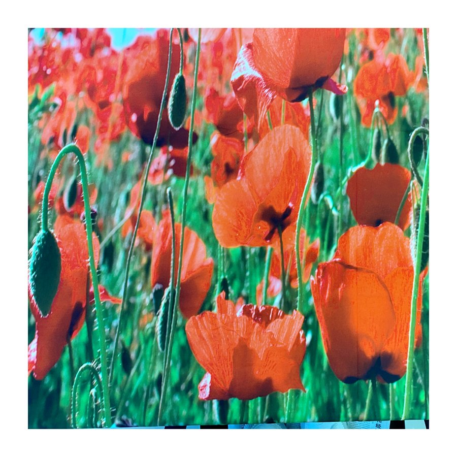 100% polyester fabric 3D printed disperse printed microfiber bed sheet fabric double brushed hometextile fabric