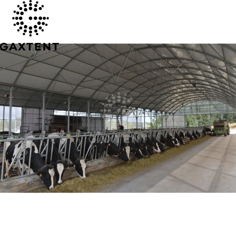 Galaxy Livestock Barn Durable Livestock Shed Low Cost Horse Tent Factory Price Horse Stable For Sale