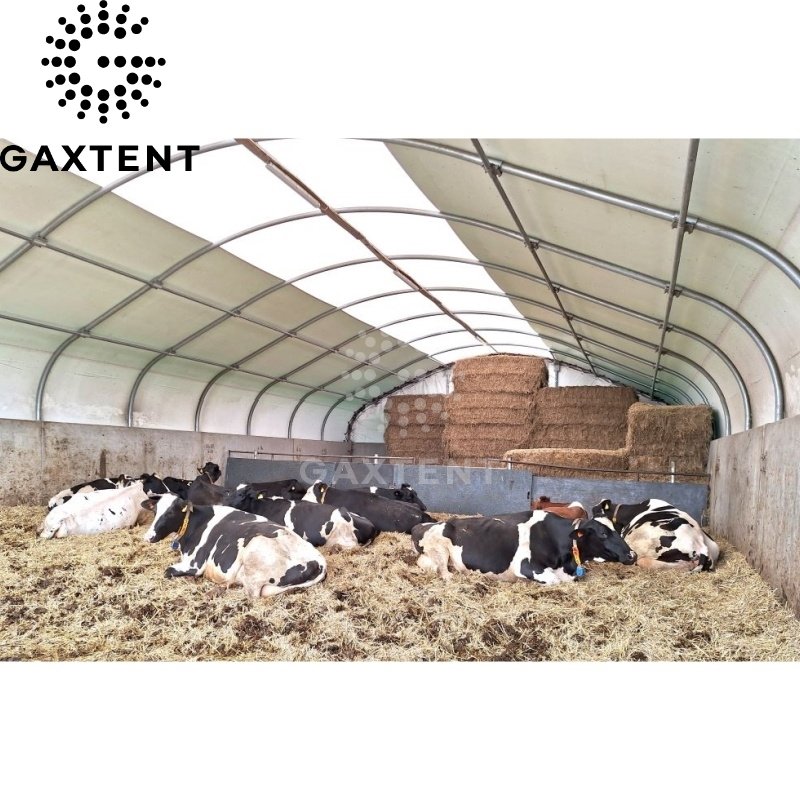 Galaxy Livestock Barn Durable Livestock Shed Low Cost Horse Tent Factory Price Horse Stable For Sale