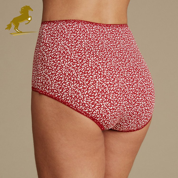 Multi Size Bamboo Fiber Push Up Women Underwear Panties