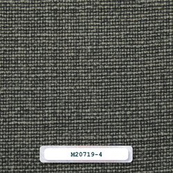M20719-4