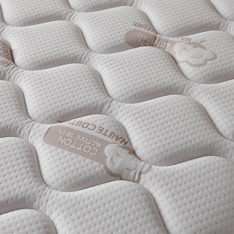 Spring Mattress Health Mattress Plant Fibers Fabric High Quality Latex Natural Home Furniture Modern Bedroom Beds Bedroom Topper