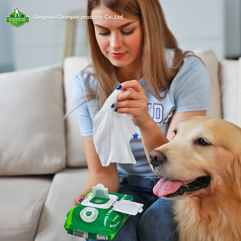 Custom Nonwoven Fabric Eco Friendly Biodegradable Ear Eye Tooth Clean Pet Wet Wipes Organic For Dogs
