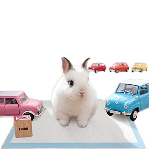 guinea pigs dogs cats water proof disposable polymer Pet Pee Pad Waterproof Pet Training Urine Pee Absorption Potty Wee Pads