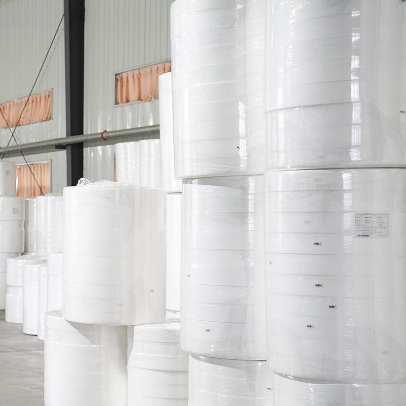 20gsm-200gsm OEM 100% PLA non-woven fabric biodegradable supplier