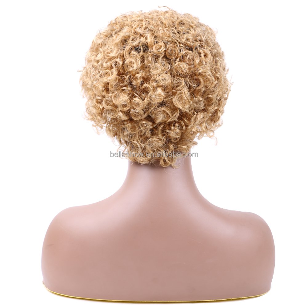 Kinky Deep Curly Water Wave Frontal Virgin Wig For Women Jerry Curly Short Bob 13x1 Lace Front Human Hair Wigs