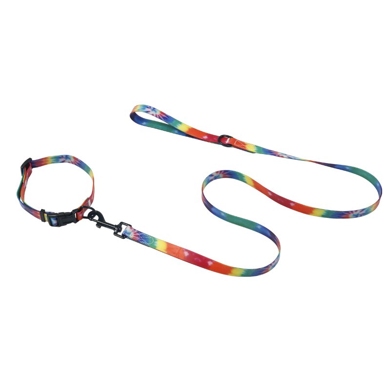 Customized Dog Leash & Collar Breakaway Feature Print for Safe Walking & Running Nylon Lace with Rainbow Shiny Nylon 1pc/opp Bag