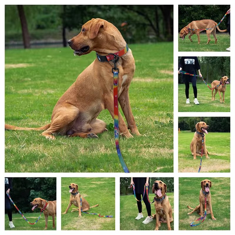 Customized Dog Leash & Collar Breakaway Feature Print for Safe Walking & Running Nylon Lace with Rainbow Shiny Nylon 1pc/opp Bag