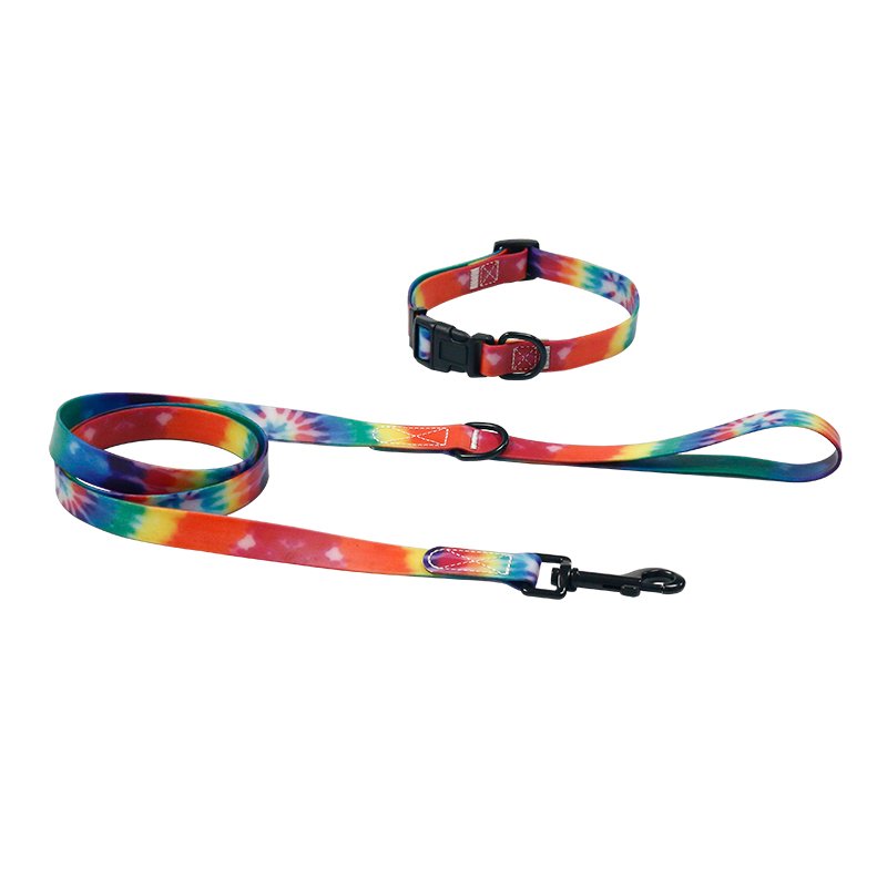 Customized Dog Leash & Collar Breakaway Feature Print for Safe Walking & Running Nylon Lace with Rainbow Shiny Nylon 1pc/opp Bag