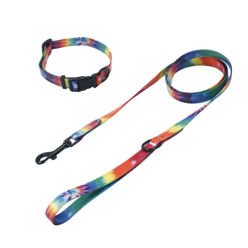 Customized Dog Leash & Collar Breakaway Feature Print for Safe Walking & Running Nylon Lace with Rainbow Shiny Nylon 1pc/opp Bag