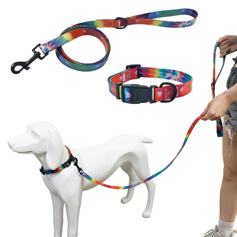 Customized Dog Leash & Collar Breakaway Feature Print for Safe Walking & Running Nylon Lace with Rainbow Shiny Nylon 1pc/opp Bag