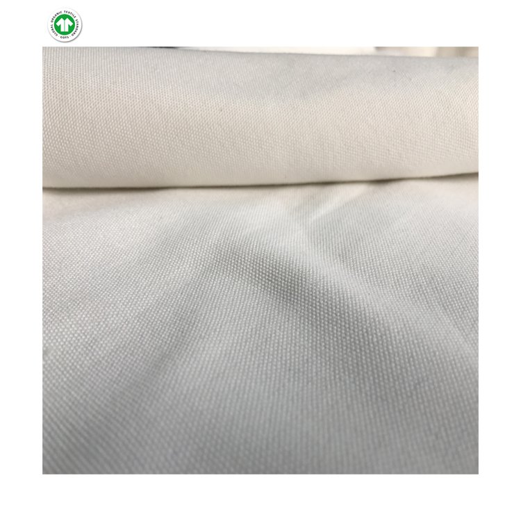 New Hot Selling Polyester Material Lightweight Printed Canvas Fabric at Least Price