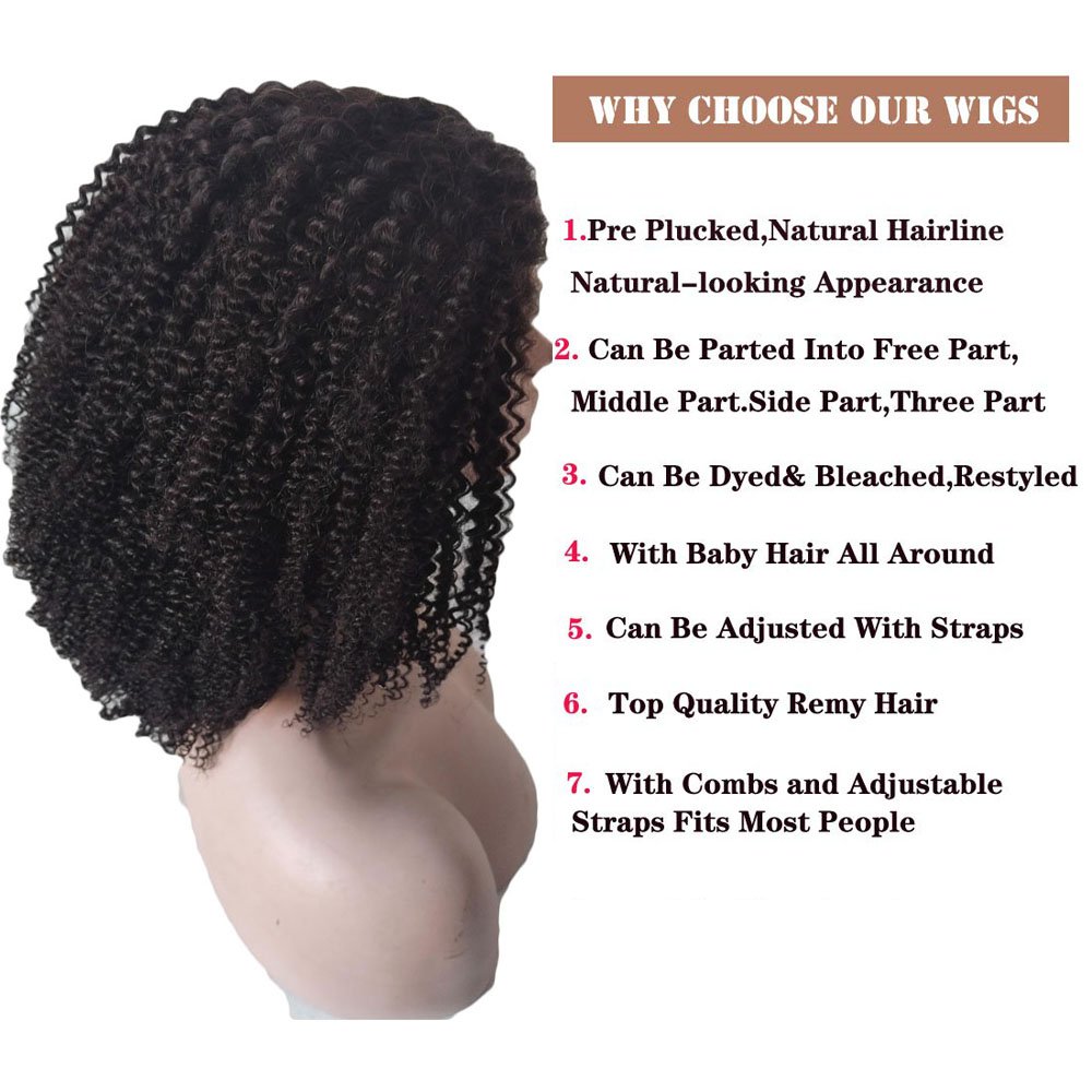 Afro Kinky Curly Human Hair Lace Front Wig for Black Women 150%density Indian Glueless Lace Frontal Wig for African American