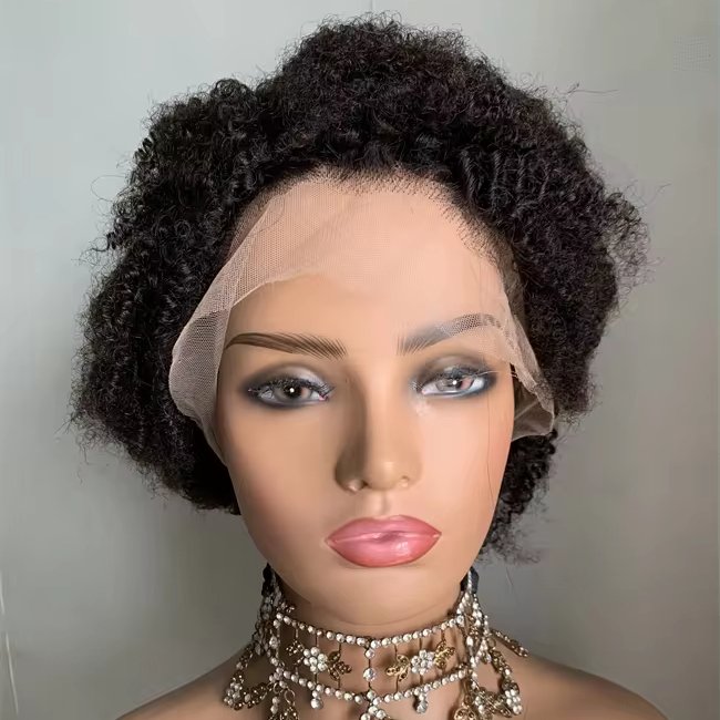 DX067 Wholesale full lace kinky curl wigs vendors human hair hd braided wig styles for African women10 inch