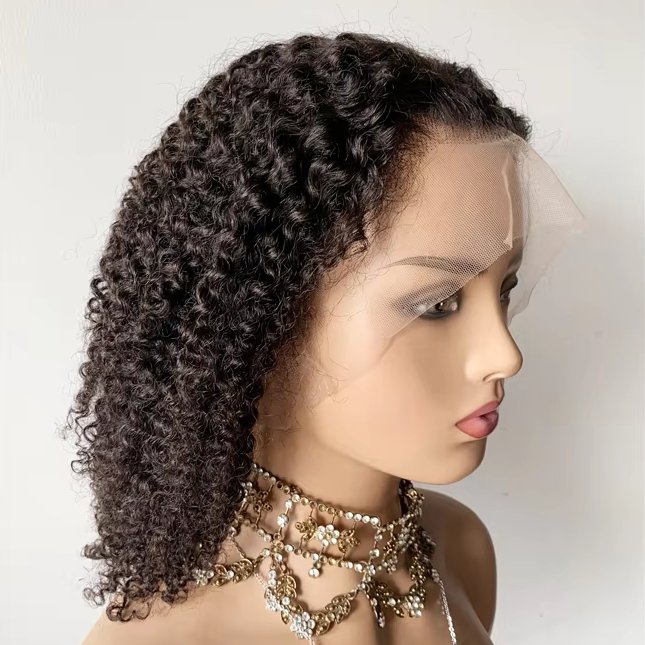 DX192 perruque 360 full lace wig without glue cheveunx naturel cheap Henan cuticle aligned hair curly willo chair sashes wigs