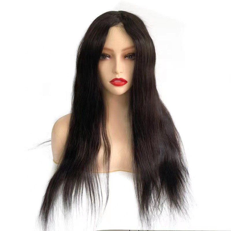HQ Durable Lace Front Mono Wig Human Hair Long Wigs For Black Women High Density Extensions
