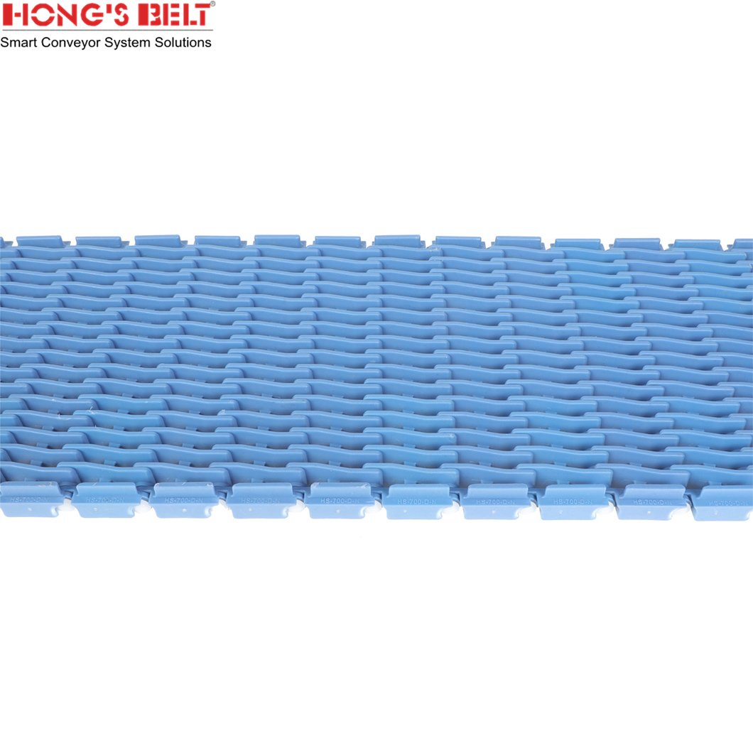 Hongsbelt HS-700D-N 27.2mm Pitch Raised Rib Modular Belt Fit For Intralox Series 900 Raised Rib