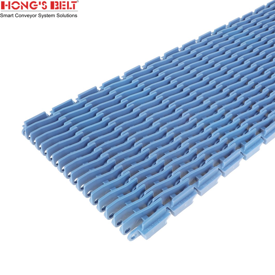 Hongsbelt HS-700D-N 27.2mm Pitch Raised Rib Modular Belt Fit For Intralox Series 900 Raised Rib
