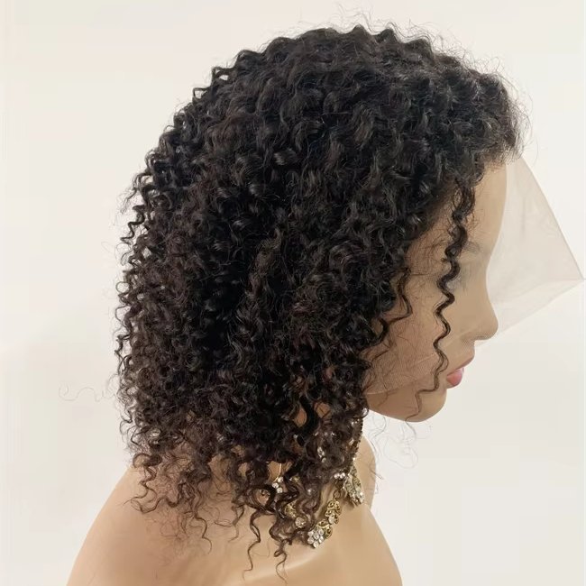 DX182 High quality raw burmese curly unprocessed human hair vendors glueless peluca full lace african braids wig natrual wigs