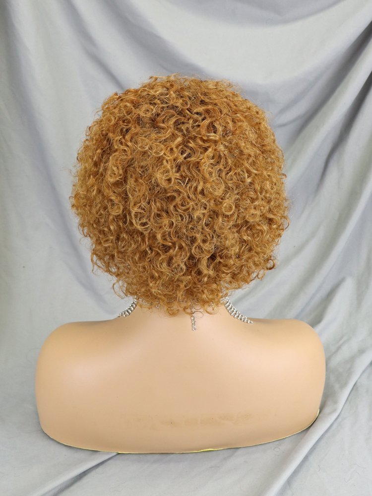 Short Human Hair Wigs Pixie Cut Curly Brazilian Full Non Lace Wigs For Black Women