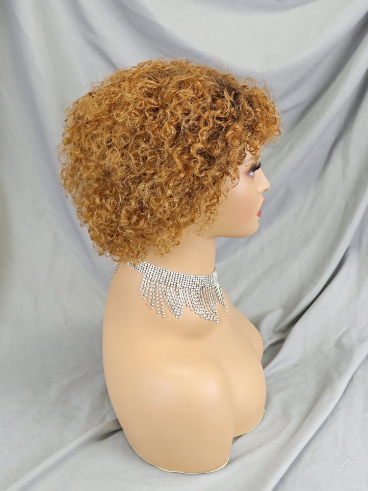 Short Human Hair Wigs Pixie Cut Curly Brazilian Full Non Lace Wigs For Black Women