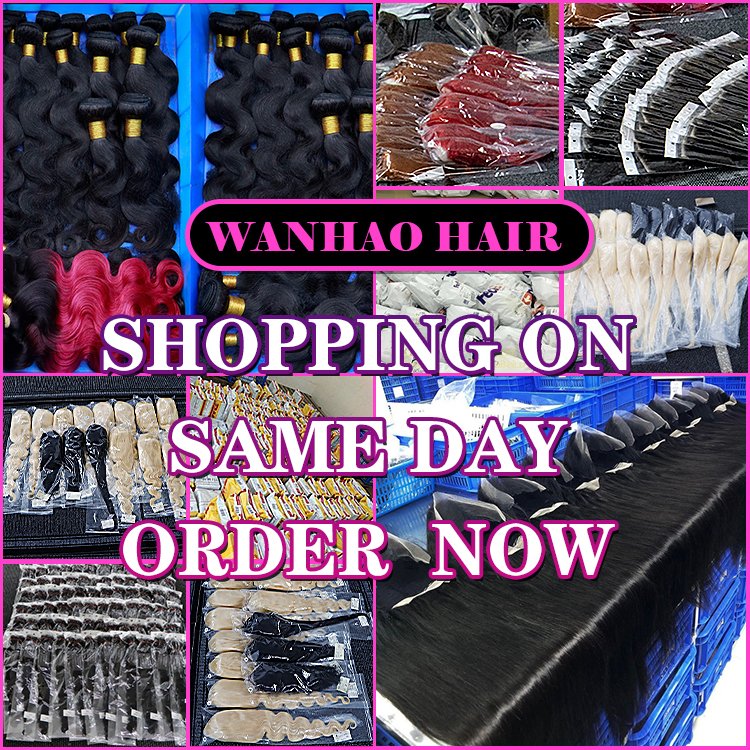 Bouncy Spring Curly Raw Hair Vietnamese 13*4 Lace HD Glueless Wig Double Drawn Virgin Brazilian Human Hair Wigs for Black Women