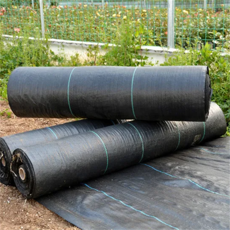 Good Quality 100% PP Agricultural Landscape Mulching Greenhouse Tree Ground Cover Fabric Weed Mat
