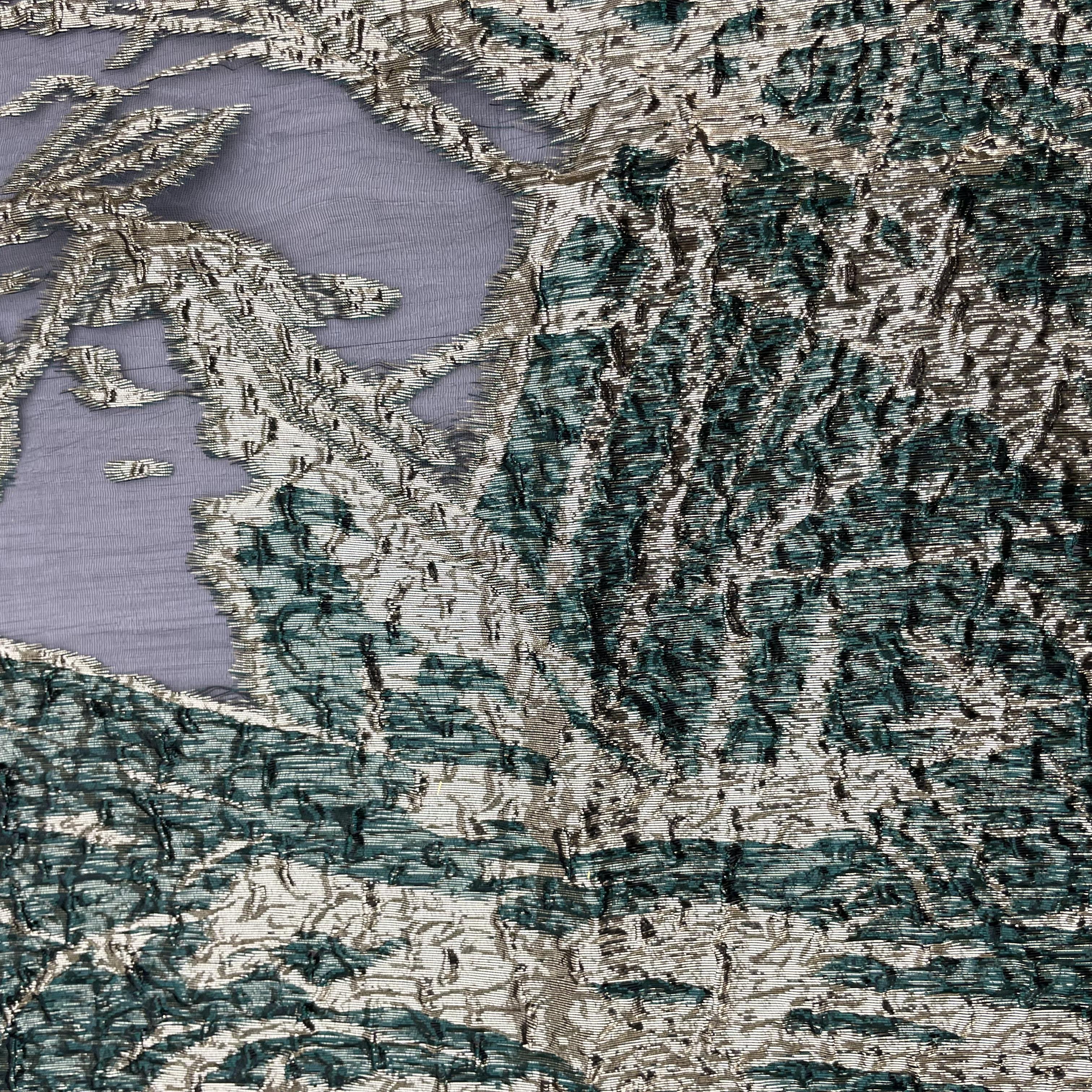 100%Polyester fabric plants pattern organza jacquard fabric Africa lace dress fabric