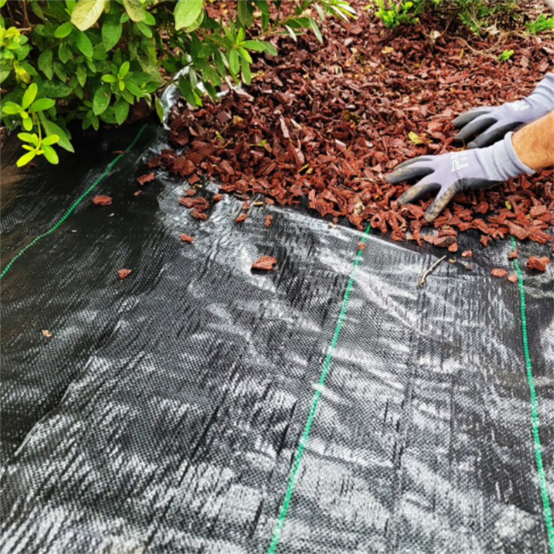 Stabilization UV Fabric Roll Agricultural Ground Cover Plant Nursery Weed Control Membrane Black PP Woven Weed Mat