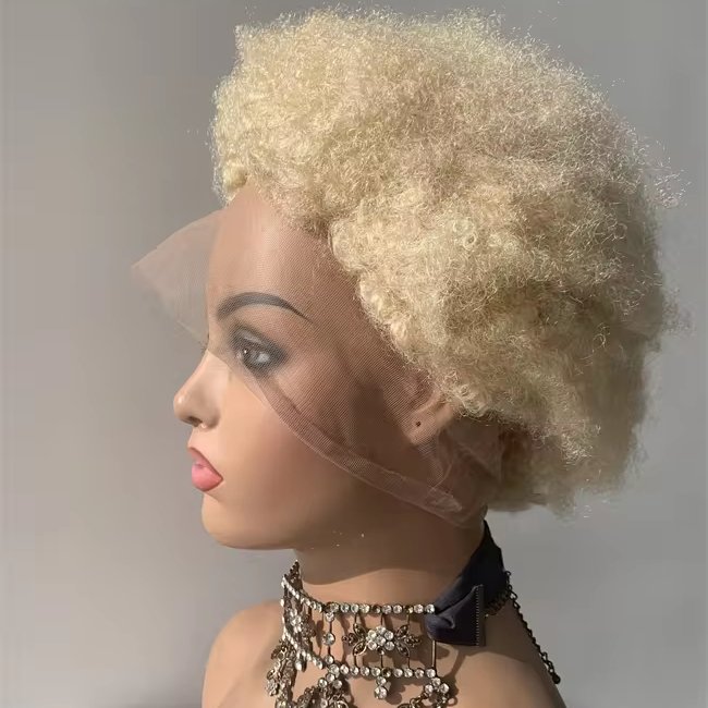 DX050 Braid wigs human hair african box braided wig glueless full lace 613 blonde Afro kinky curl 8" 10"
