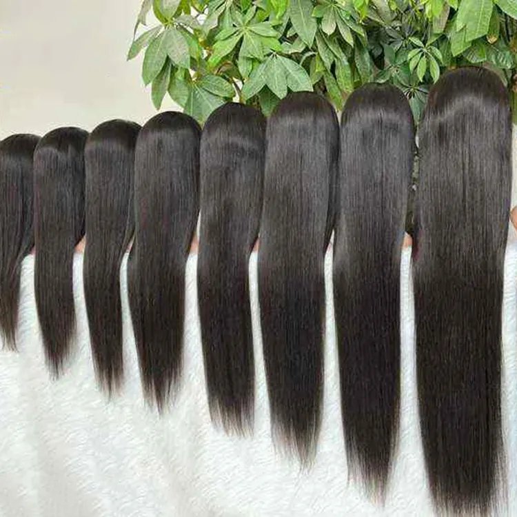 Glueless Straight Raw Hair Hd Lace Front Wig, Pre Pluck Virgin Indian Human Hair wigs, Preplucked Hd Lace Closure Wigs For Women
