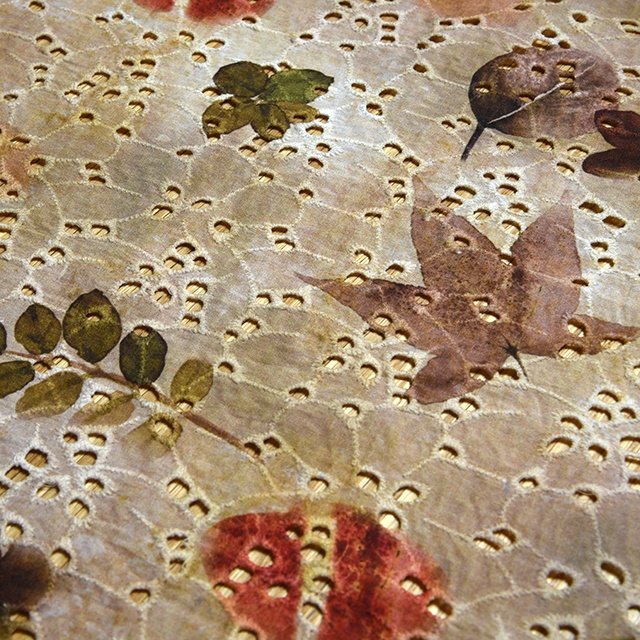 HA-16728B Hot new high quality 100% cotton voile eyelet digital printed embroidery fabric