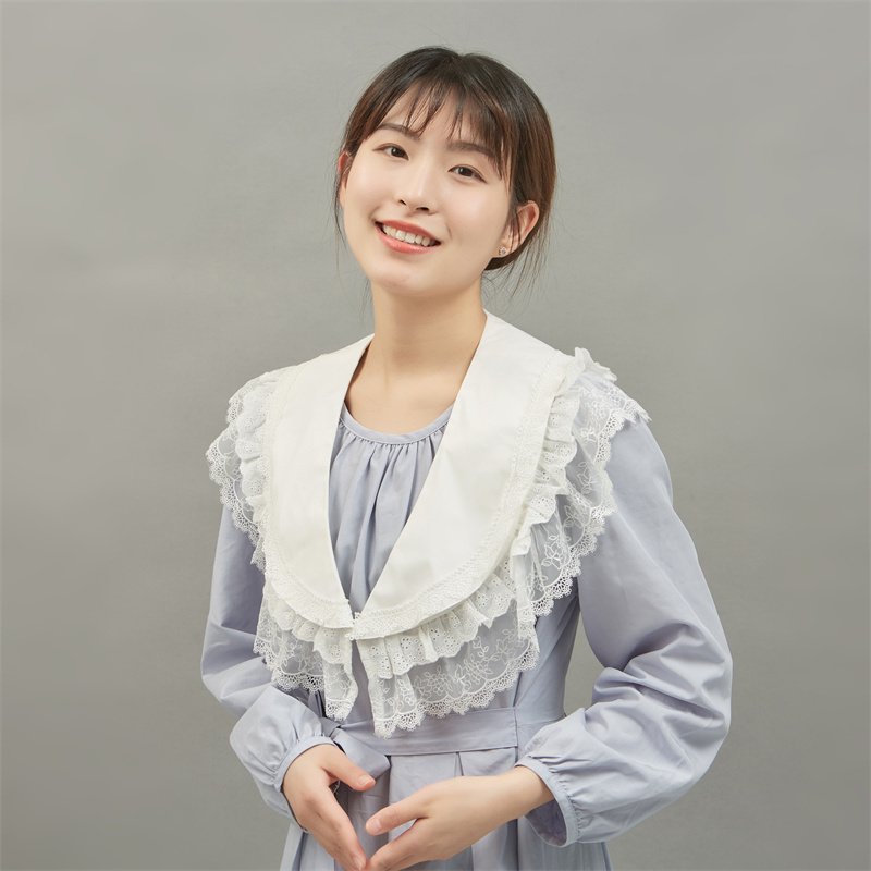Wholesale high quality New Organza Embroidered Collar lace edge Fake Collar Woman Detachable Fake Collar