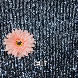 C#17